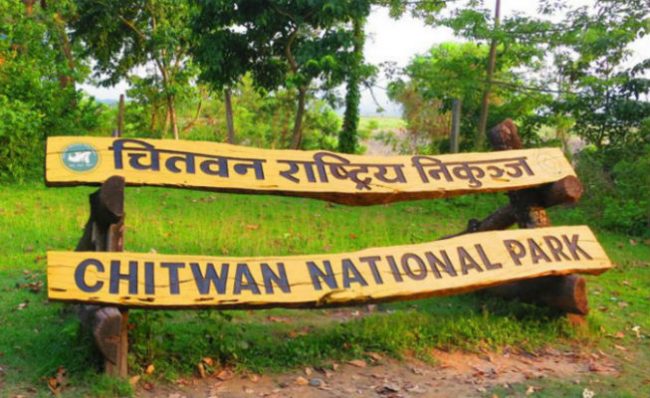 चितवन राष्ट्रिय निकुञ्जसम्बन्धी कसुरमा ४४२ जना पक्राउ