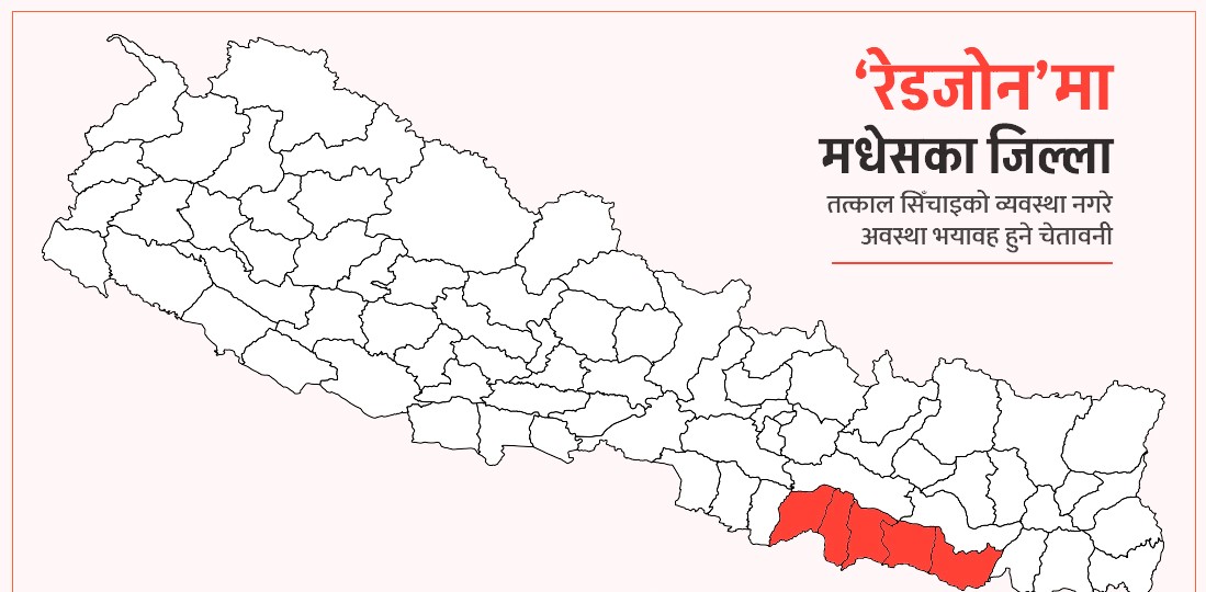 अन्नको भण्डार मधेस प्रदेशमा धान रोपाइँ ३५ प्रतिशतमा सीमित